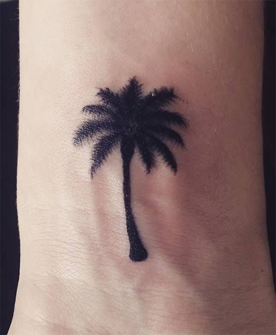 Beautiful Small Palm Tree on hand